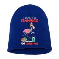 All I Want For Christmas Is A Flamingo Warm Weather Gift Funny Gift Short Acrylic Beanie