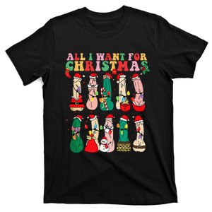 All I Want For Christmas Is D Merry Dickmas Dirty Christmas Gift T-Shirt