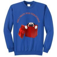 All I Want For Christmas Pug Gift Tall Sweatshirt