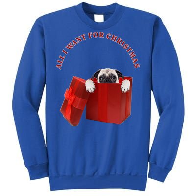 All I Want For Christmas Pug Gift Tall Sweatshirt