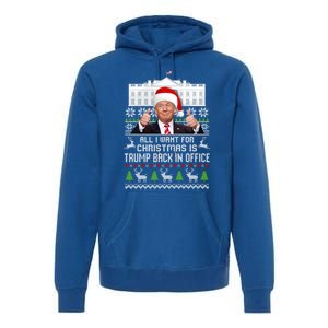 All I Want For Christmas Is Trump Back In Office Trump Xmas Meaningful Gift Premium Hoodie