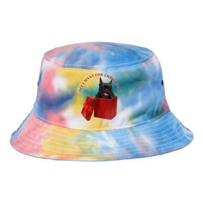 All I Want For Christmas French Bulldog Gift Tie Dye Newport Bucket Hat