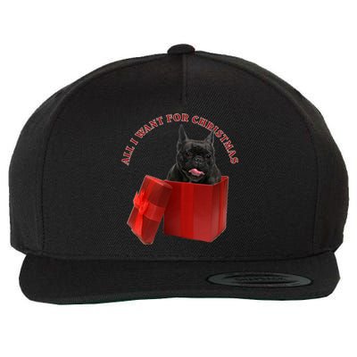 All I Want For Christmas French Bulldog Gift Wool Snapback Cap