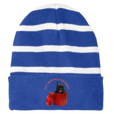 All I Want For Christmas French Bulldog Gift Striped Beanie with Solid Band