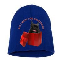 All I Want For Christmas French Bulldog Gift Short Acrylic Beanie