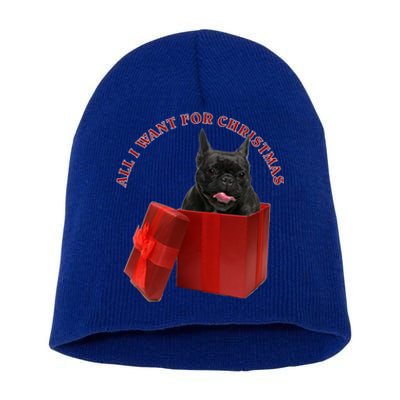 All I Want For Christmas French Bulldog Gift Short Acrylic Beanie