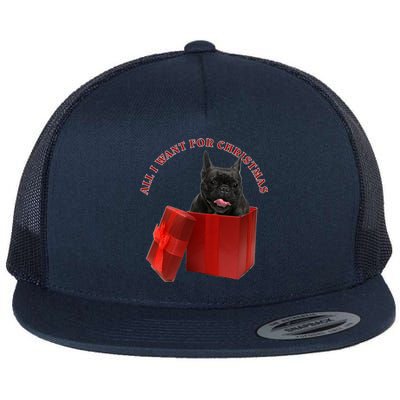 All I Want For Christmas French Bulldog Gift Flat Bill Trucker Hat