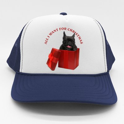 All I Want For Christmas French Bulldog Gift Trucker Hat