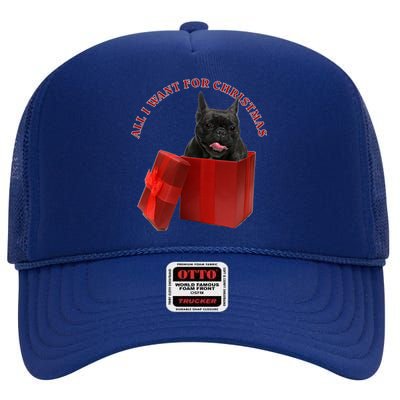 All I Want For Christmas French Bulldog Gift High Crown Mesh Back Trucker Hat