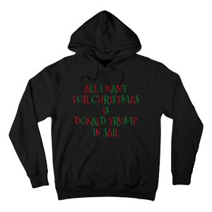 All I Want For Christmas Is Donald Trump In Jail Hoodie