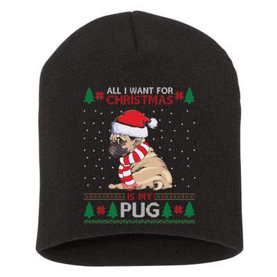 All I Want For Christmas Is My Pug Ugly Christmas Short Acrylic Beanie