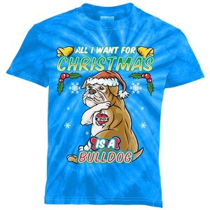 All I Want For Christmas Is A Bulldog Santa Claus Dog Xmas Meaningful Gift Kids Tie-Dye T-Shirt