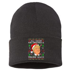 All I Want For Christmas Is Trump Back 2024 Sustainable Knit Beanie