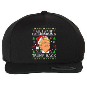 All I Want For Christmas Is Trump Back 2024 Wool Snapback Cap