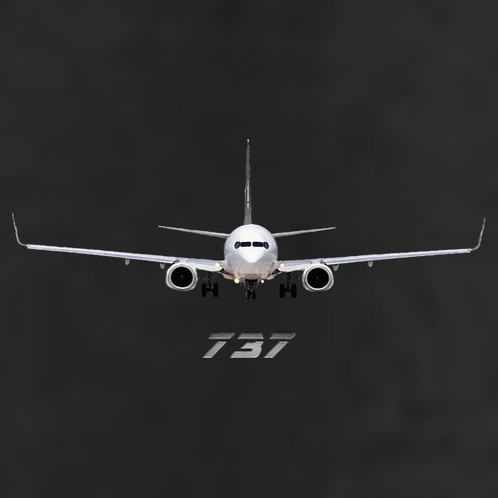 Airline Jet 737 Aircraft Passenger Aircraft 7 Panel Mesh Trucker Snapback Hat