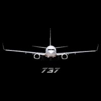 Airline Jet 737 Aircraft Passenger Aircraft Impact Tech Backpack