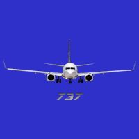 Airline Jet 737 Aircraft Passenger Aircraft T-Shirt