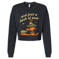 And Just A Dash Of Sass Baby Halloween Witch Cropped Pullover Crew