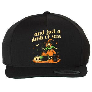 And Just A Dash Of Sass Baby Halloween Witch Wool Snapback Cap