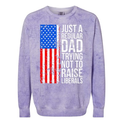 Antiliberal Just A Regular Dad Trying Not To Raise Liberals Colorblast Crewneck Sweatshirt