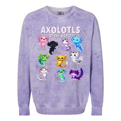 Axolotl Kawaii Axolotls Of The World Axolotl Animals Colorblast Crewneck Sweatshirt