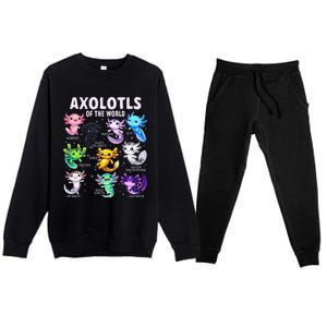 Axolotl Kawaii Axolotls Of The World Axolotl Animals Premium Crewneck Sweatsuit Set