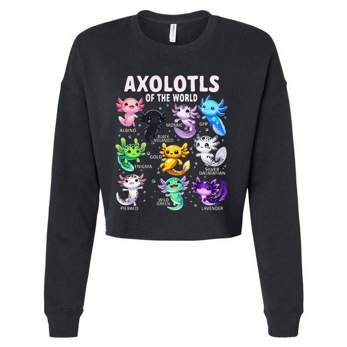 Axolotl Kawaii Axolotls Of The World Axolotl Animals Cropped Pullover Crew