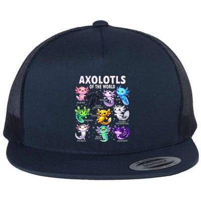 Axolotl Kawaii Axolotls Of The World Axolotl Animals Flatbill Hat