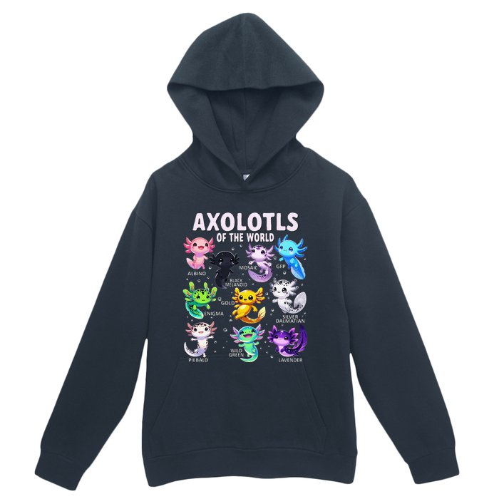 Axolotl Kawaii Axolotls Of The World Axolotl Animals Urban Pullover Hoodie