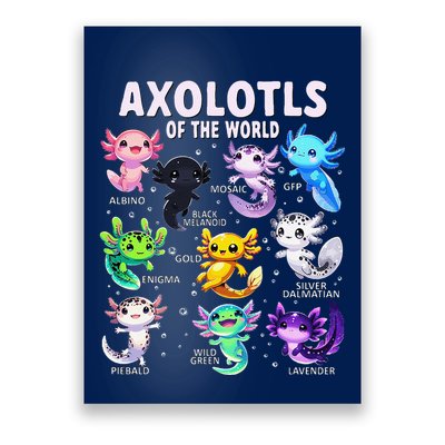 Axolotl Kawaii Axolotls Of The World Axolotl Animals Poster