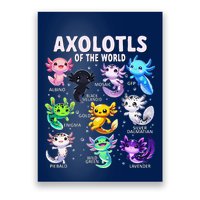 Axolotl Kawaii Axolotls Of The World Axolotl Animals Poster
