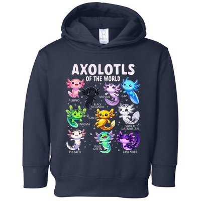 Axolotl Kawaii Axolotls Of The World Axolotl Animals Toddler Hoodie
