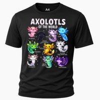 Axolotl Kawaii Axolotls Of The World Axolotl Animals Performance Shirt