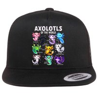 Axolotl Kawaii Axolotls Of The World Axolotl Animals Flat Bill Trucker Hat