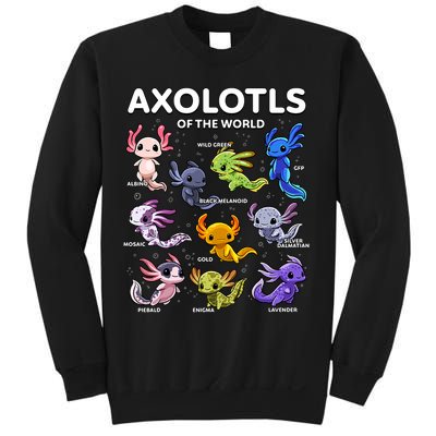 Axolotl Kawaii Axolotls Of The World Axolotl Animals Sweatshirt