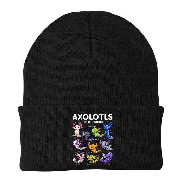 Axolotl Kawaii Axolotls Of The World Axolotl Animals Beanie