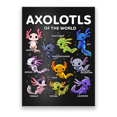 Axolotl Kawaii Axolotls Of The World Axolotl Animals Poster