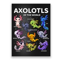 Axolotl Kawaii Axolotls Of The World Axolotl Animals Poster