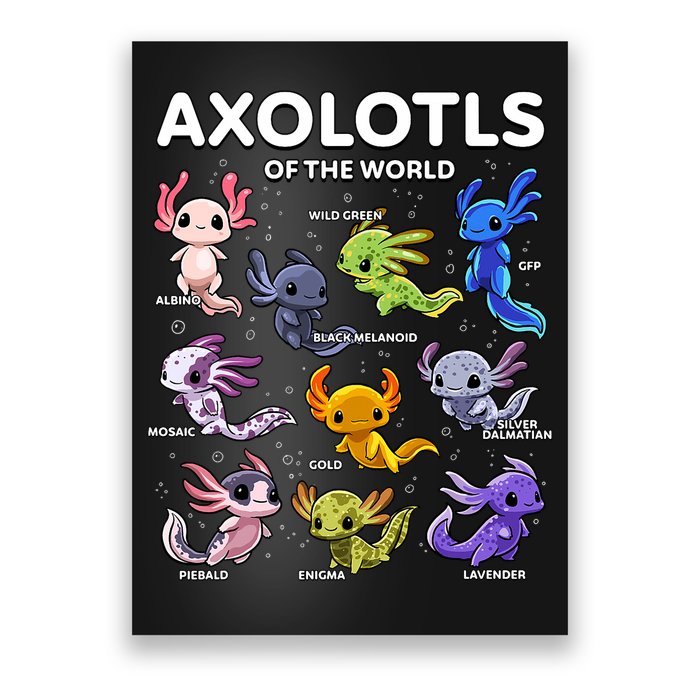 Axolotl Kawaii Axolotls Of The World Axolotl Animals Poster