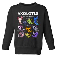 Axolotl Kawaii Axolotls Of The World Axolotl Animals Toddler Sweatshirt