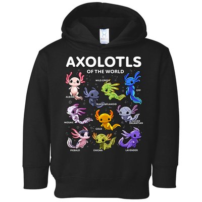 Axolotl Kawaii Axolotls Of The World Axolotl Animals Toddler Hoodie