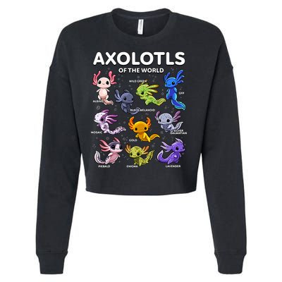 Axolotl Kawaii Axolotls Of The World Axolotl Animals Cropped Pullover Crew