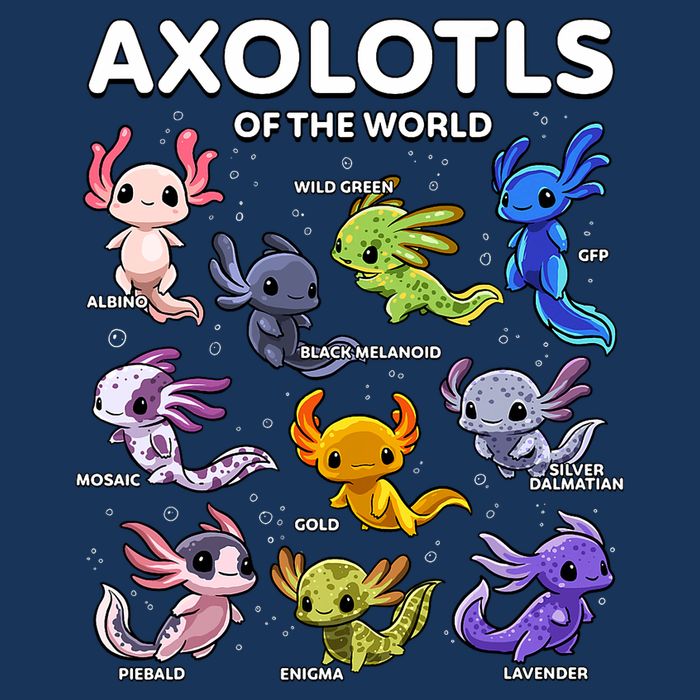 Axolotl Kawaii Axolotls Of The World Axolotl Animals Infant Baby Jersey Bodysuit