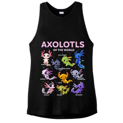 Axolotl Kawaii Axolotls Of The World Axolotl Animals Ladies PosiCharge Tri-Blend Wicking Tank