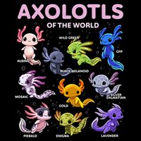 Axolotl Kawaii Axolotls Of The World Axolotl Animals Hoodie
