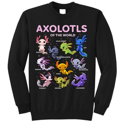 Axolotl Kawaii Axolotls Of The World Axolotl Animals Sweatshirt