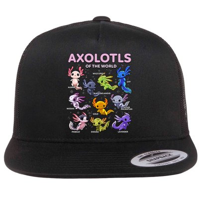 Axolotl Kawaii Axolotls Of The World Axolotl Animals Flatbill Hat