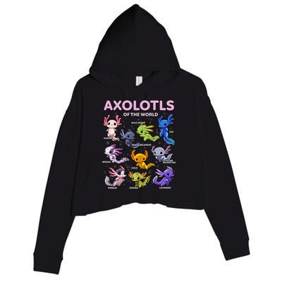 Axolotl Kawaii Axolotls Of The World Axolotl Animals Crop Fleece Hoodie