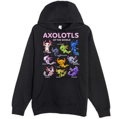 Axolotl Kawaii Axolotls Of The World Axolotl Animals Premium Pullover Hoodie