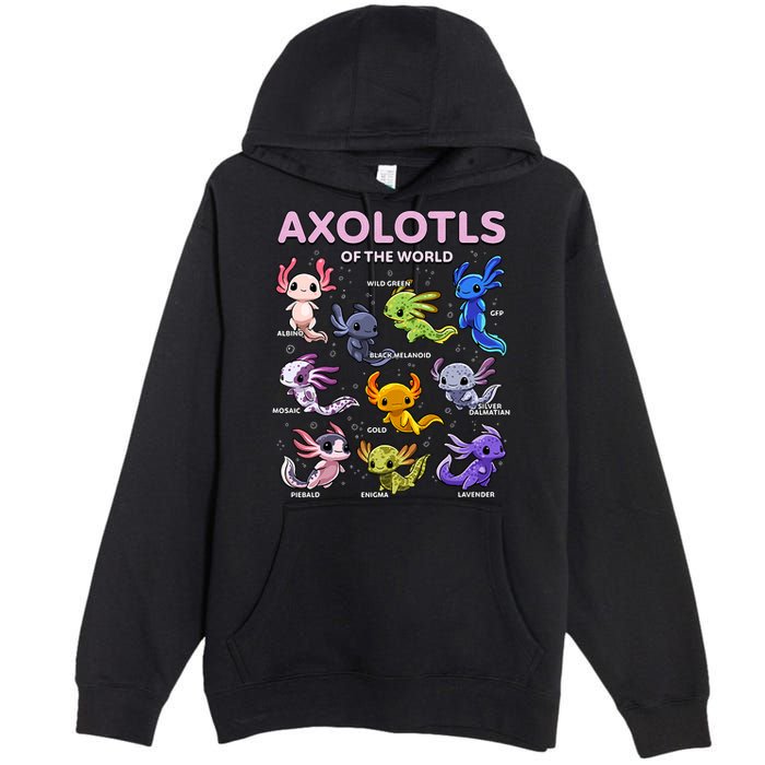 Axolotl Kawaii Axolotls Of The World Axolotl Animals Premium Pullover Hoodie